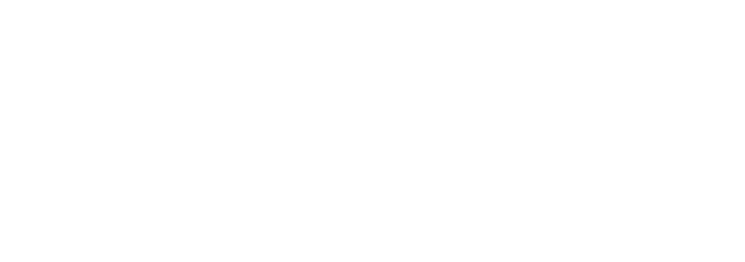 Banh Mi_wit