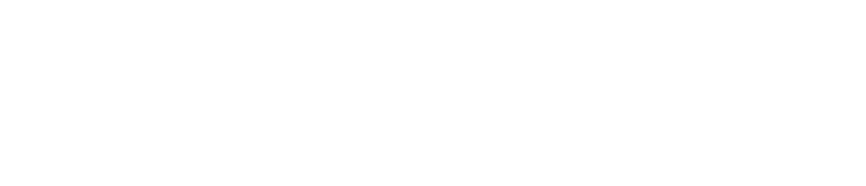 De Walvis_wit